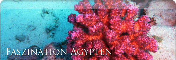 Blue Hole Ägypten Blue Hole Ägypten