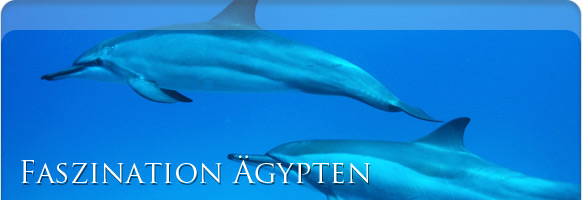 Dolphin House &Auml;gypten