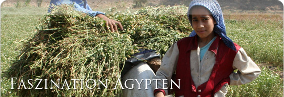 Landwirtschaft &Auml;gypten