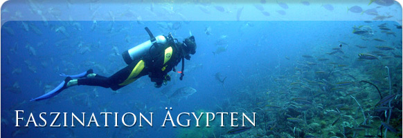 Unterwasserwelt Sharm el-Sheikh &Auml;gypten