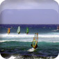 Windsurfen