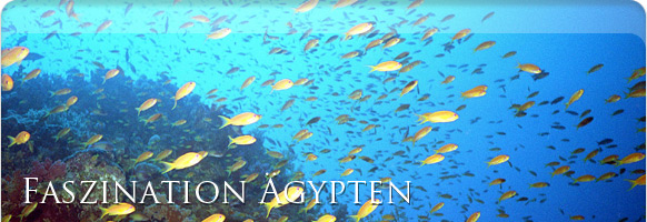 Tauchurlaub &Auml;gypten